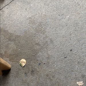 Meet your Posher, Damien